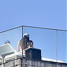 Filename=031.jpg
Filesize=414KiB
Dimensions=998x1519
Date added=Nov 21, 2025 031.jpg