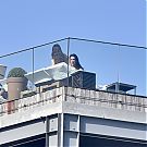 Filename=041.jpg
Filesize=920KiB
Dimensions=2295x1475
Date added=Nov 21, 2025 041.jpg