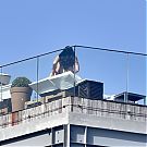 Filename=044.jpg
Filesize=708KiB
Dimensions=2000x1411
Date added=Nov 21, 2025 044.jpg