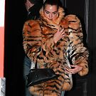 Filename=009.jpg
Filesize=3317KiB
Dimensions=2334x3500
Date added=Feb 22, 2026 009.jpg