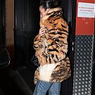 Filename=018.jpg
Filesize=3684KiB
Dimensions=2334x3500
Date added=Feb 22, 2026 018.jpg