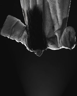 © instagram.com/frogphotography
