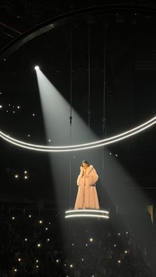 © instagram.com/frogphotography
