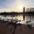 Filename=2009.jpg
Filesize=520KiB
Dimensions=1440x1440
Date added=Dec 31, 2025 2009.jpg